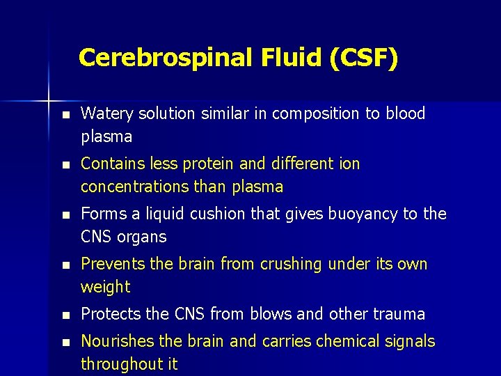 Cerebrospinal Fluid (CSF) n Watery solution similar in composition to blood plasma n Contains