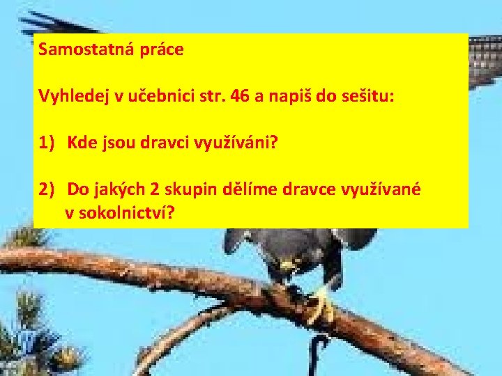 Samostatná práce Vyhledej v učebnici str. 46 a napiš do sešitu: 1) Kde jsou