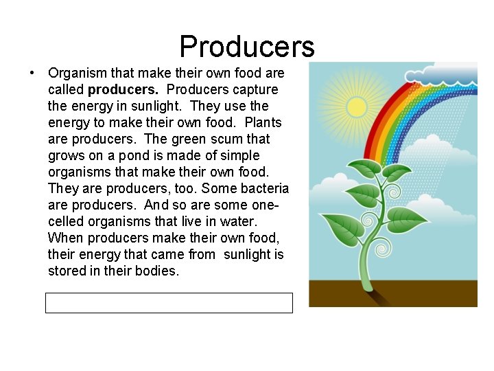 Producers • Organism that make their own food are called producers. Producers capture the