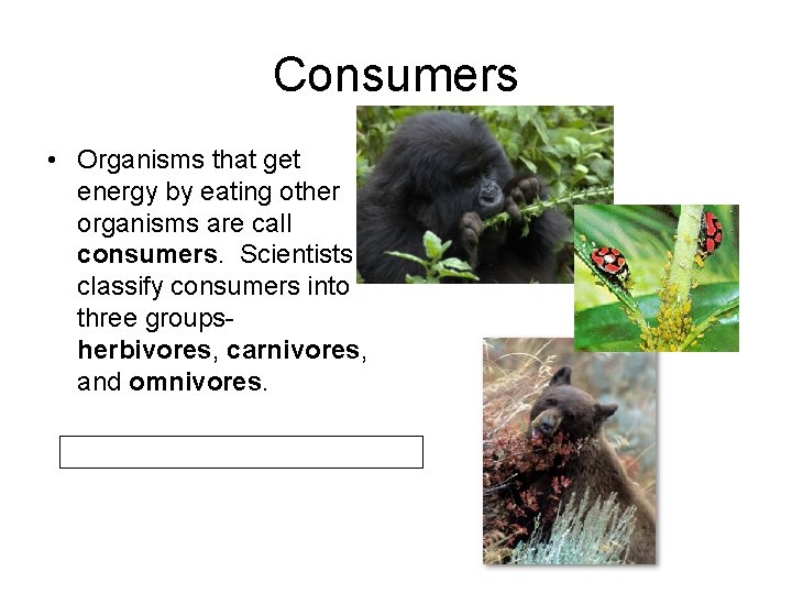 Consumers • Organisms that get energy by eating other organisms are call consumers. Scientists