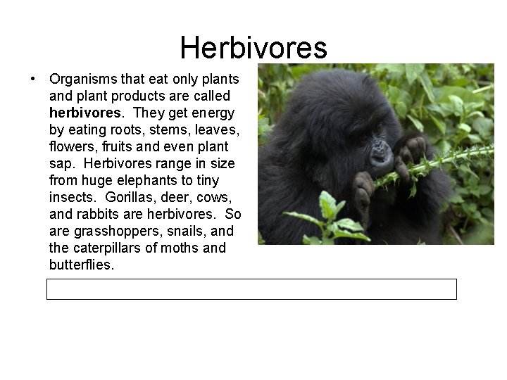 Herbivores • Organisms that eat only plants and plant products are called herbivores. They