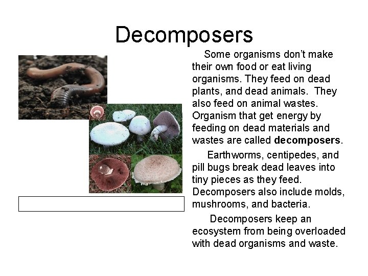 Decomposers Some organisms don’t make their own food or eat living organisms. They feed