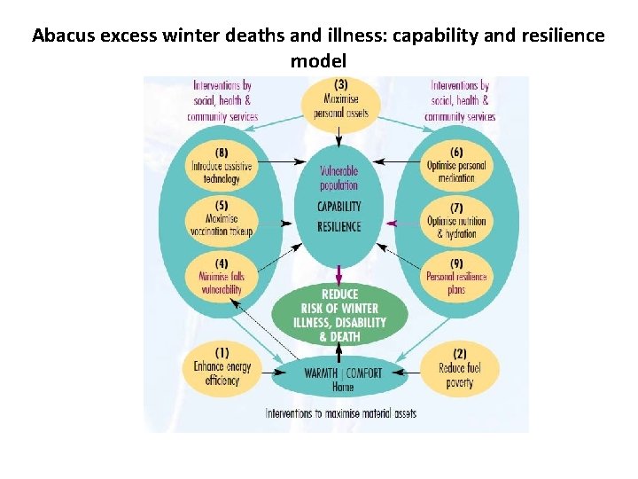 Abacus excess winter deaths and illness: capability and resilience model 