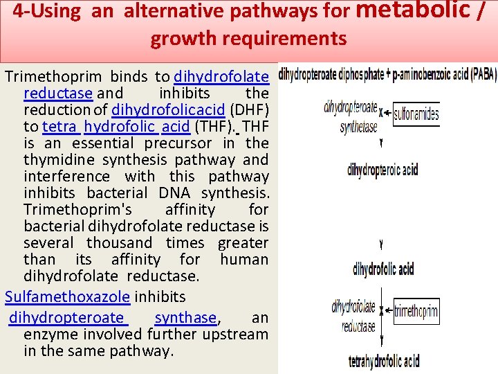 4 -Using an alternative pathways for metabolic / growth requirements Trimethoprim binds to dihydrofolate