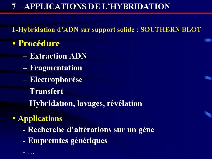 7 – APPLICATIONS DE L’HYBRIDATION 1 -Hybridation d’ADN sur support solide : SOUTHERN BLOT