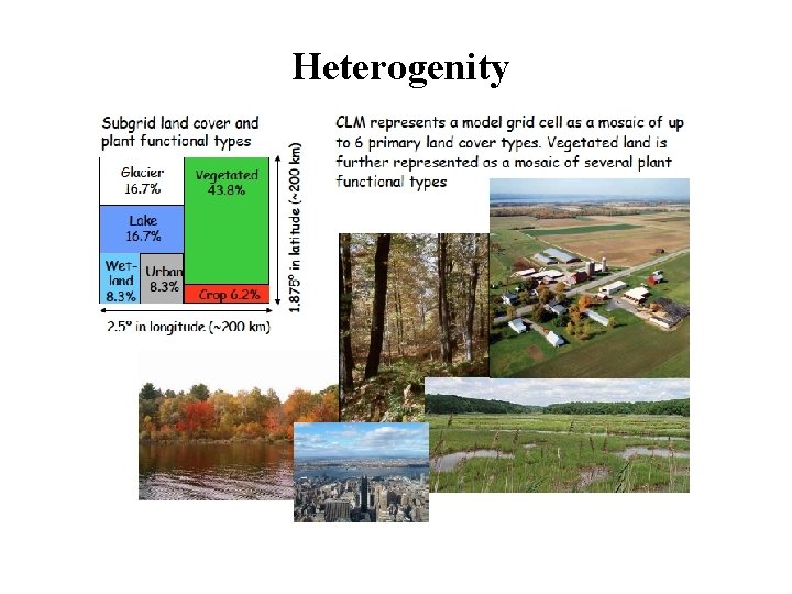 Heterogenity 