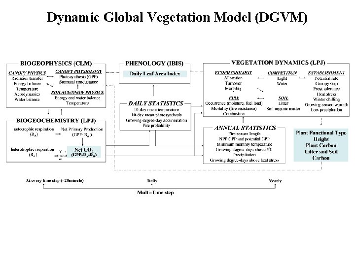Dynamic Global Vegetation Model (DGVM) 