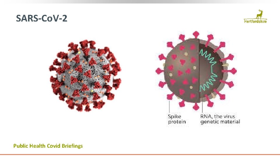 SARS-Co. V-2 Public Health Covid Briefings 