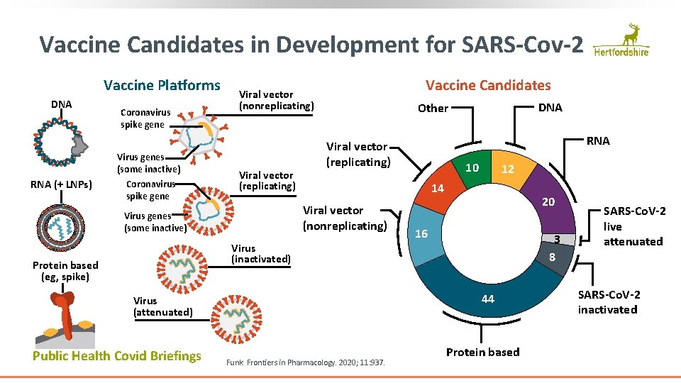 Vaccine Candidates in Development for SARS-Cov-2 Vaccine Platforms DNA Coronavirus spike gene Virus genes