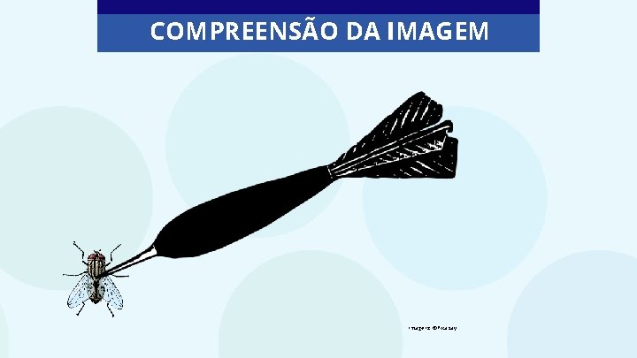 COMPREENSÃO DA IMAGEM Imagens: ©Pixabay 