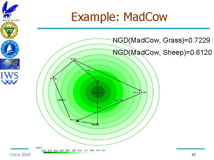 Example: Mad. Cow NGD(Mad. Cow, Grass)=0. 7229 NGD(Mad. Cow, Sheep)=0. 6120 China 2009 45