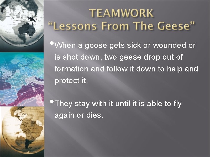  • When a goose gets sick or wounded or is shot down, two