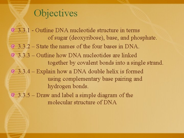 Objectives 3. 3. 1 - Outline DNA nucleotide structure in terms of sugar (deoxyribose),