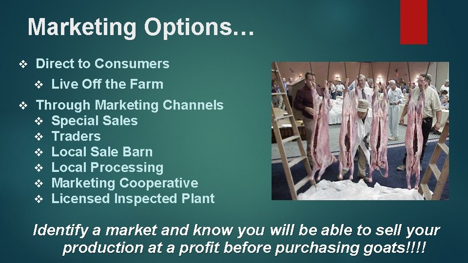 Marketing Options… v Direct to Consumers v Live Off the Farm v Through Marketing
