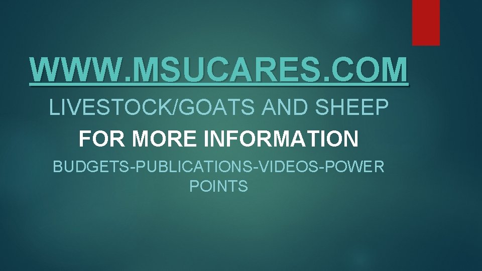 WWW. MSUCARES. COM LIVESTOCK/GOATS AND SHEEP FOR MORE INFORMATION BUDGETS-PUBLICATIONS-VIDEOS-POWER POINTS 