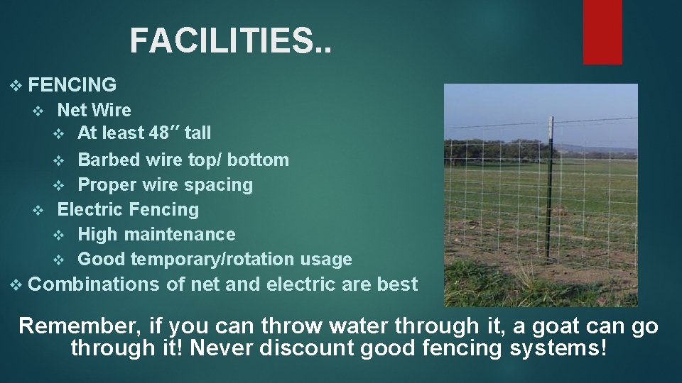 FACILITIES. . v FENCING Net Wire v At least 48” tall v Barbed wire