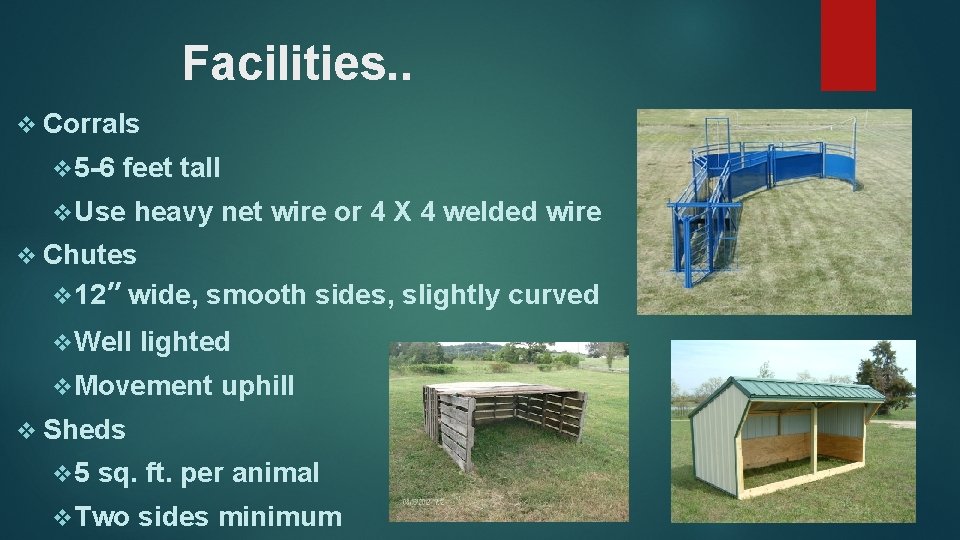 Facilities. . v Corrals v 5 -6 feet tall v Use heavy net wire