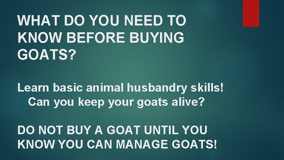 WHAT DO YOU NEED TO KNOW BEFORE BUYING GOATS? Learn basic animal husbandry skills!