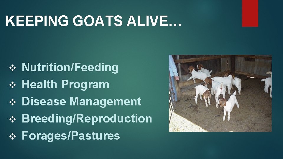 KEEPING GOATS ALIVE… v v v Nutrition/Feeding Health Program Disease Management Breeding/Reproduction Forages/Pastures 