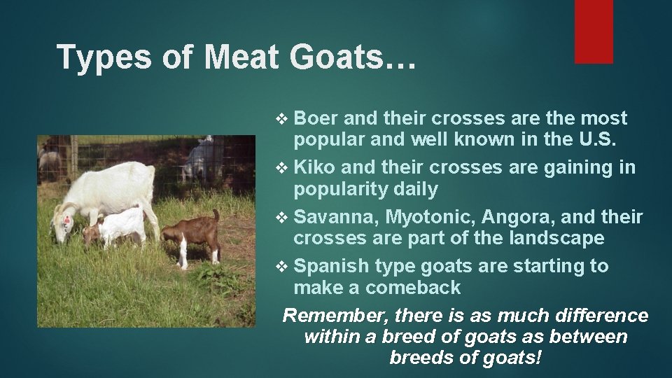 Types of Meat Goats… v Boer and their crosses are the most popular and