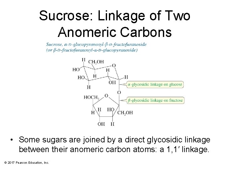 Sucrose: Linkage of Two Anomeric Carbons • Some sugars are joined by a direct