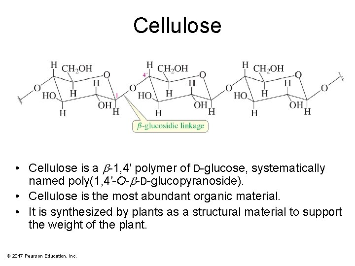 Cellulose • Cellulose is a b-1, 4′ polymer of D-glucose, systematically named poly(1, 4′-O-b-D-glucopyranoside).
