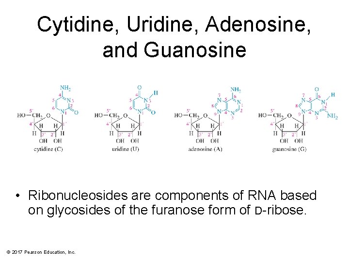 Cytidine, Uridine, Adenosine, and Guanosine • Ribonucleosides are components of RNA based on glycosides