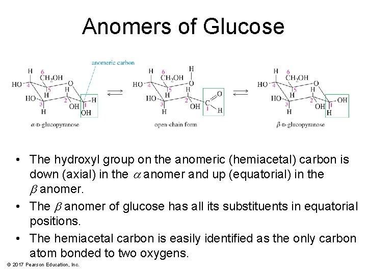 Anomers of Glucose • The hydroxyl group on the anomeric (hemiacetal) carbon is down