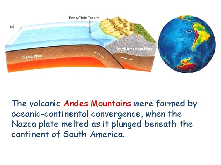 The volcanic Andes Mountains were formed by oceanic-continental convergence, when the Nazca plate melted