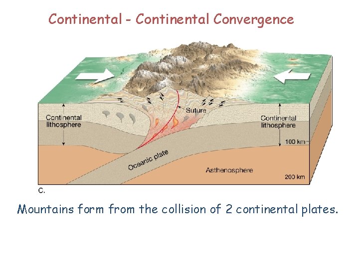 Continental - Continental Convergence Mountains form from the collision of 2 continental plates. 