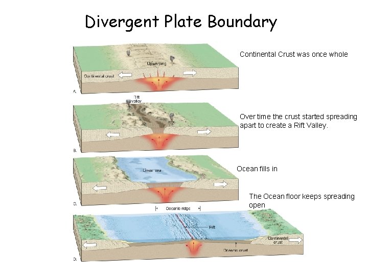 Divergent Plate Boundary Continental Crust was once whole Over time the crust started spreading