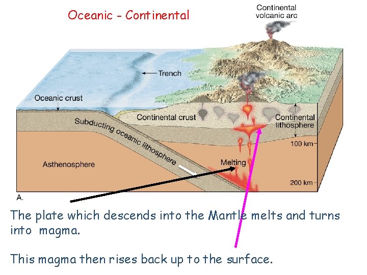 Oceanic - Continental The plate which descends into the Mantle melts and turns into