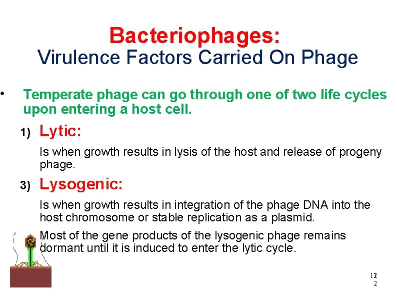  Bacteriophages: Virulence Factors Carried On Phage Temperate phage can go through one of