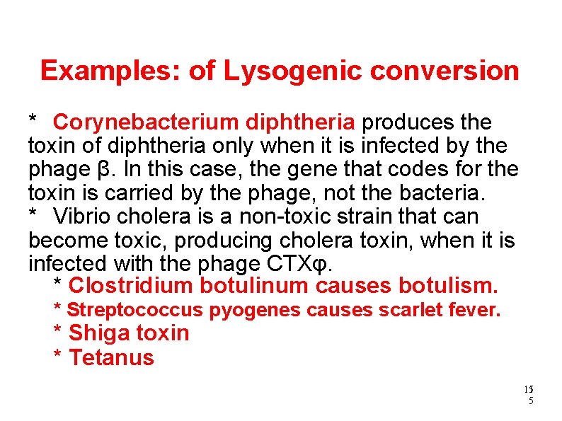 Examples: of Lysogenic conversion * Corynebacterium diphtheria produces the toxin of diphtheria only when