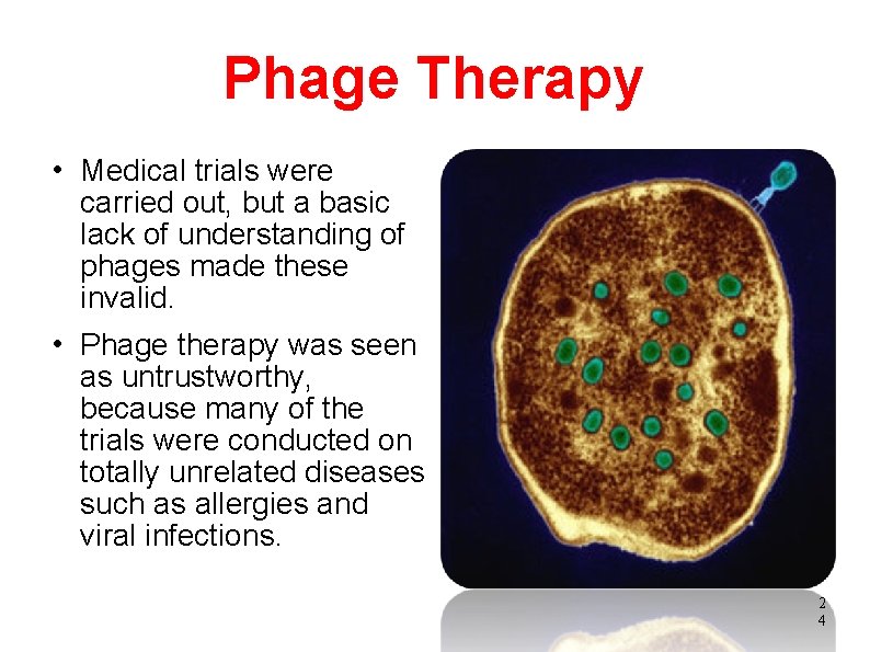 Phage Therapy Medical trials were carried out, but a basic lack of understanding of