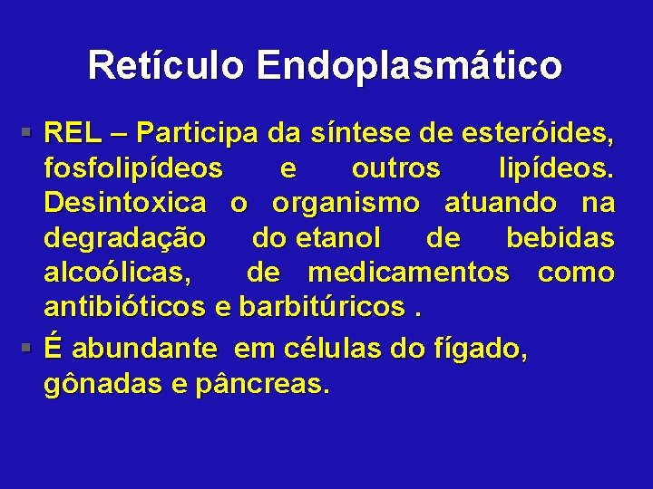 Retículo Endoplasmático § REL – Participa da síntese de esteróides, fosfolipídeos e outros lipídeos.