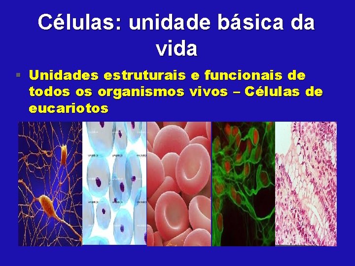 Células: unidade básica da vida § Unidades estruturais e funcionais de todos os organismos