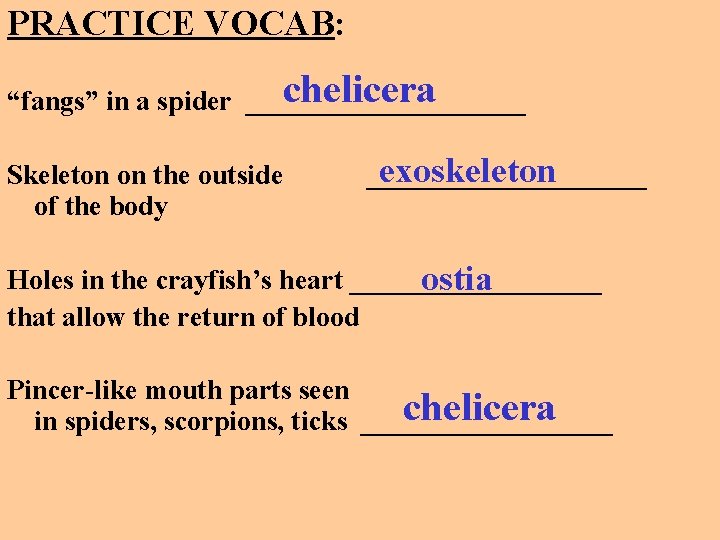 PRACTICE VOCAB: chelicera “fangs” in a spider __________ Skeleton on the outside of the