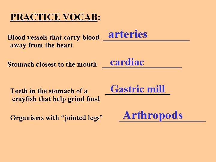 PRACTICE VOCAB: arteries Blood vessels that carry blood ____________ away from the heart cardiac