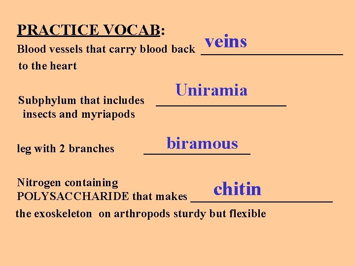 PRACTICE VOCAB: veins Blood vessels that carry blood back ____________ to the heart Subphylum