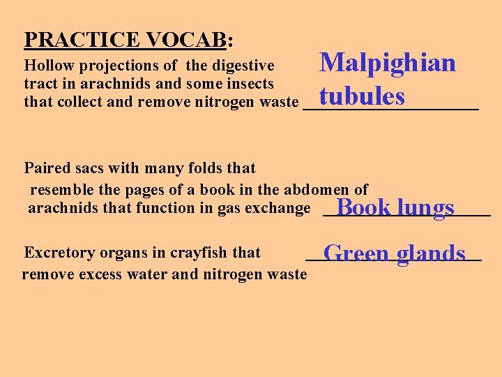 PRACTICE VOCAB: Malpighian tubules Hollow projections of the digestive tract in arachnids and some