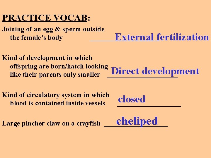 PRACTICE VOCAB: Joining of an egg & sperm outside the female’s body __________ External