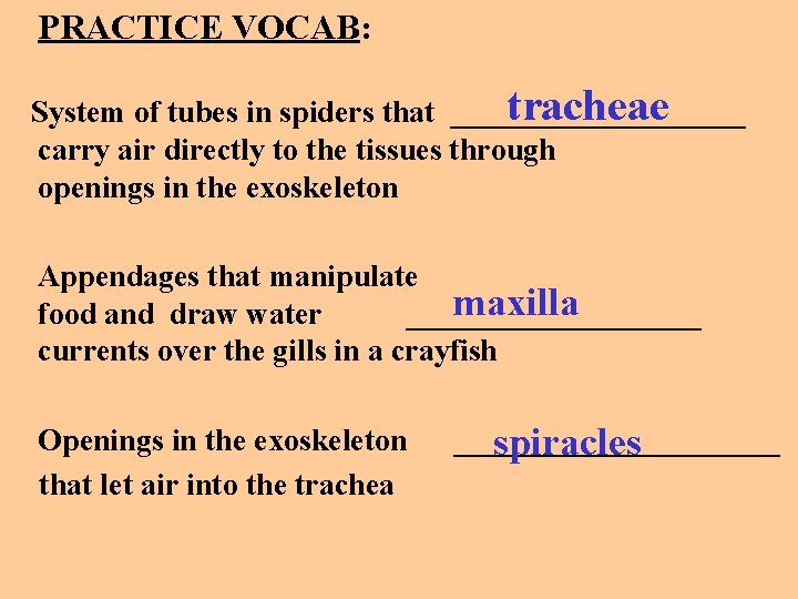 PRACTICE VOCAB: tracheae System of tubes in spiders that __________ carry air directly to