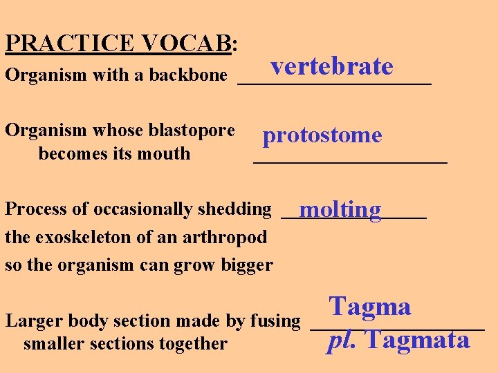 PRACTICE VOCAB: vertebrate Organism with a backbone __________ Organism whose blastopore protostome becomes its