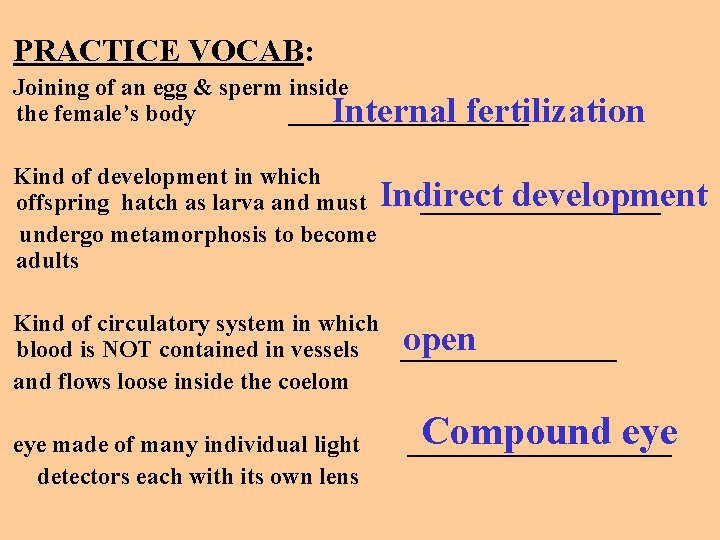 PRACTICE VOCAB: Joining of an egg & sperm inside the female’s body __________ Internal