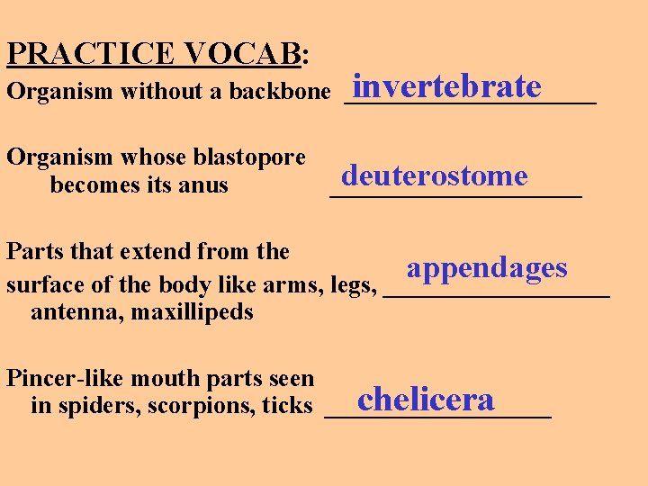 PRACTICE VOCAB: invertebrate Organism without a backbone __________ Organism whose blastopore deuterostome becomes its