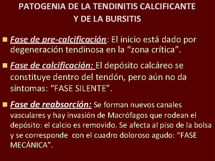 PATOGENIA DE LA TENDINITIS CALCIFICANTE Y DE LA BURSITIS n Fase de pre-calcificación: El