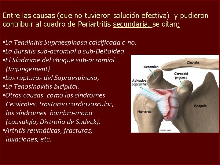 Entre las causas (que no tuvieron solución efectiva) y pudieron contribuir al cuadro de