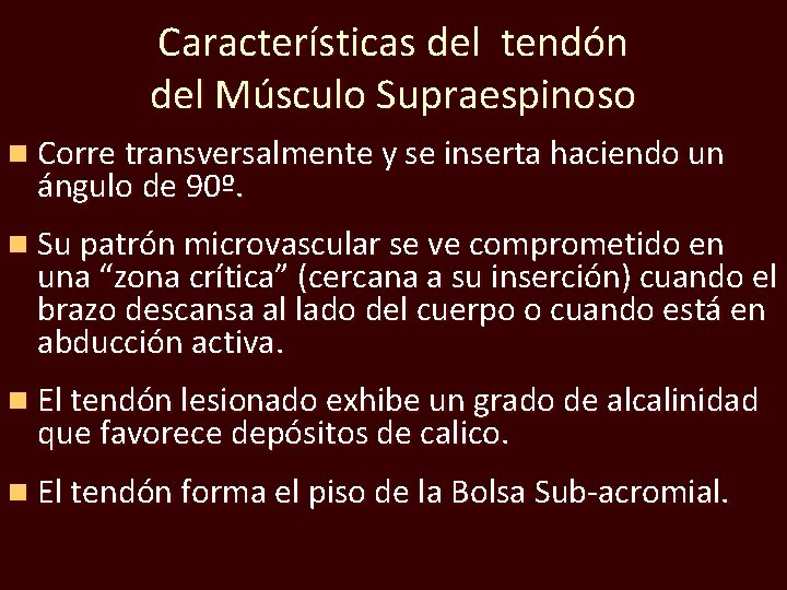 Características del tendón del Músculo Supraespinoso n Corre transversalmente y se inserta haciendo un