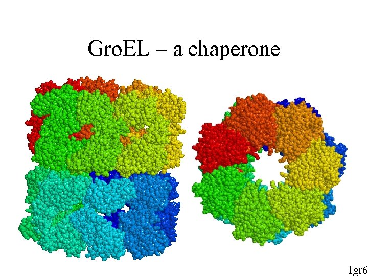Gro. EL – a chaperone 1 gr 6 